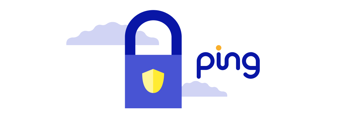 2. Pay with Ping.1.png